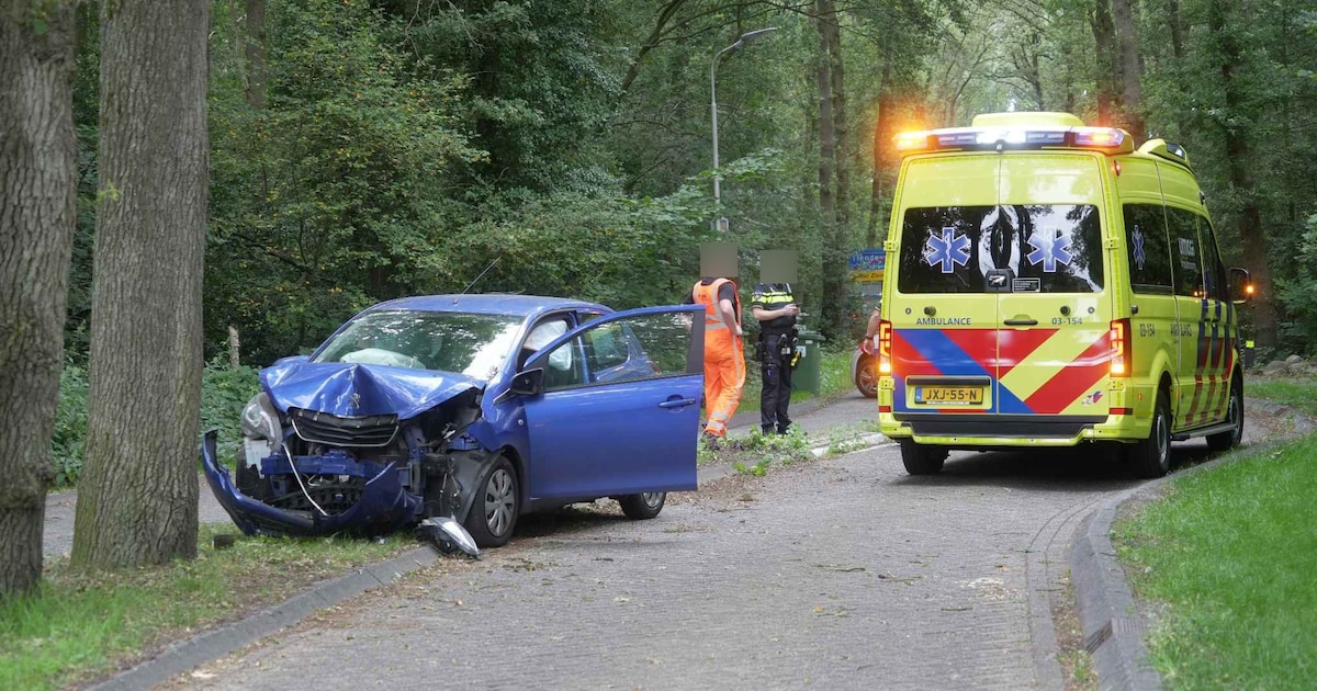 Auto rijdt tegen boom op Kerkweg in Tiendeveen
