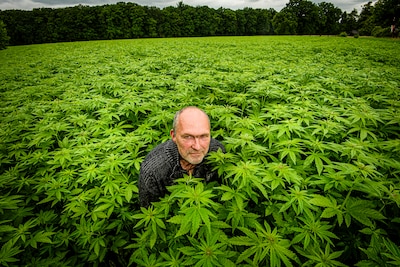 Image related to the article