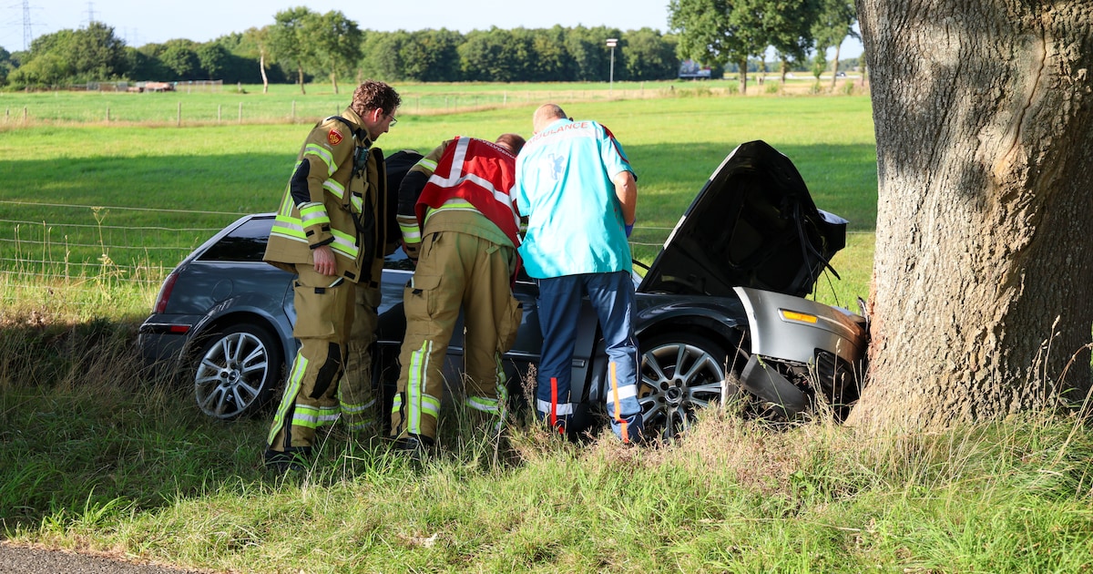 Auto botst tegen boom in Hooghalen