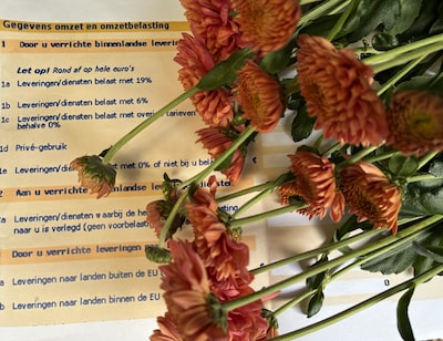 S. (46) staat alleen terecht in miljoenenzaak met bloemenbedrijf: ‘Dat raakt me en geeft me een onbe
