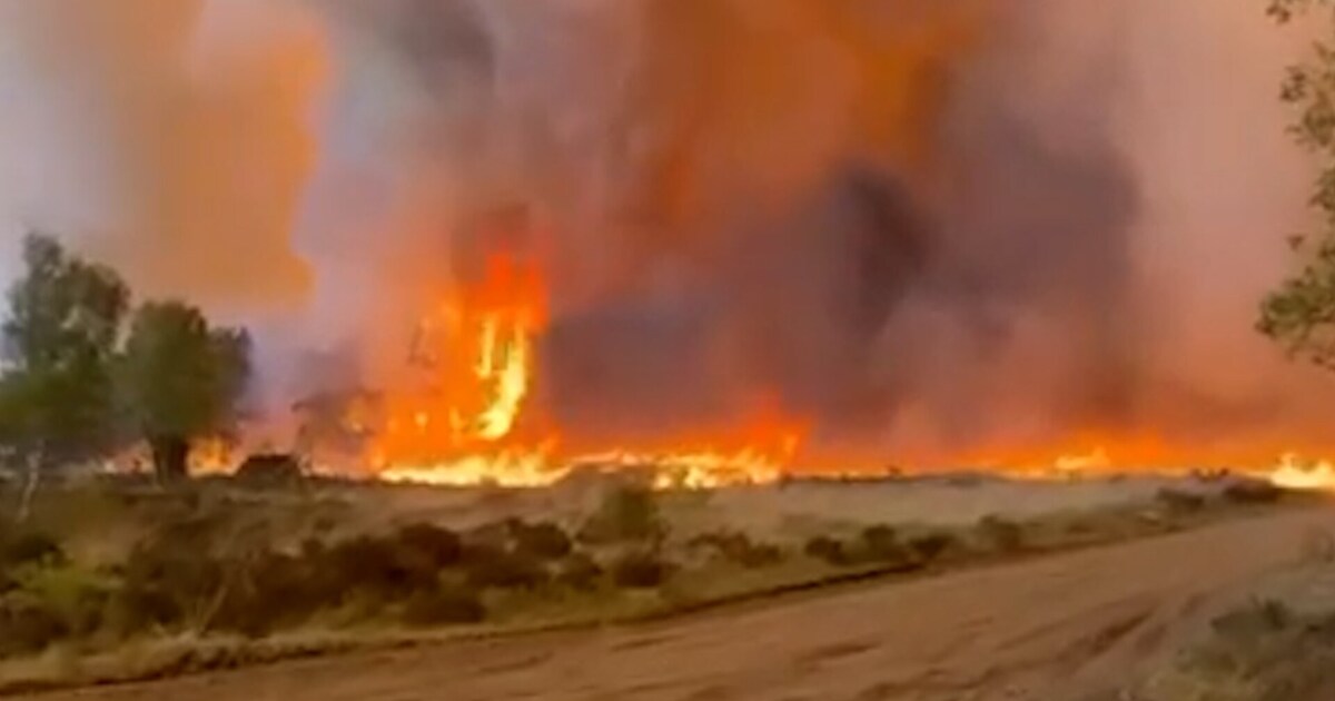 Spectaculaire beelden: enorme brand op de Veluwe vanaf brandweerauto gefilmd