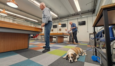 Image related to the article