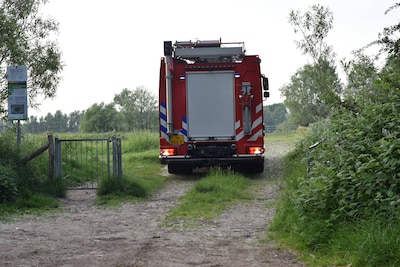 Hulpdiensten rukken massaal uit voor drenkelingen in de Waal bij Hurwenen, personen al snel weer op 