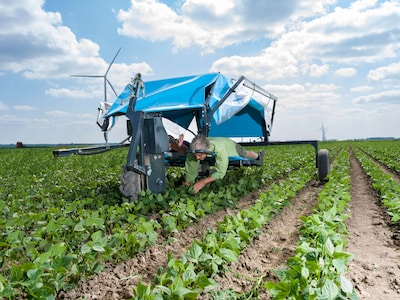 De overheid wil meer bioboeren, maar is dat wel realistisch? Dit is wat er moet gebeuren