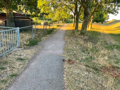Plas bloed en drie verdwenen schapen bij kinderboederij in Olst: ‘Nee, niet weer’