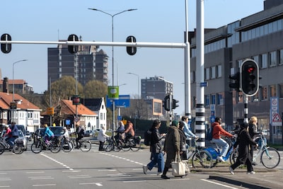 Image related to the article