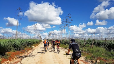 Kenya Classic levert 220.000 euro op voor Keniaanse weesmeisjes: ‘Wat een mooi project’