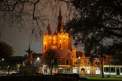 Daarom kleuren de Sassenpoort en andere Zwolse gebouwen binnenkort oranje