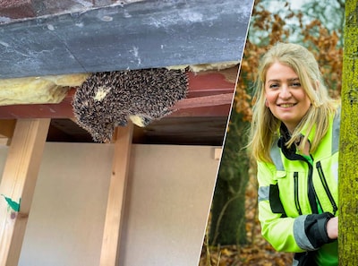 Image related to the article