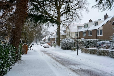 Image related to the article