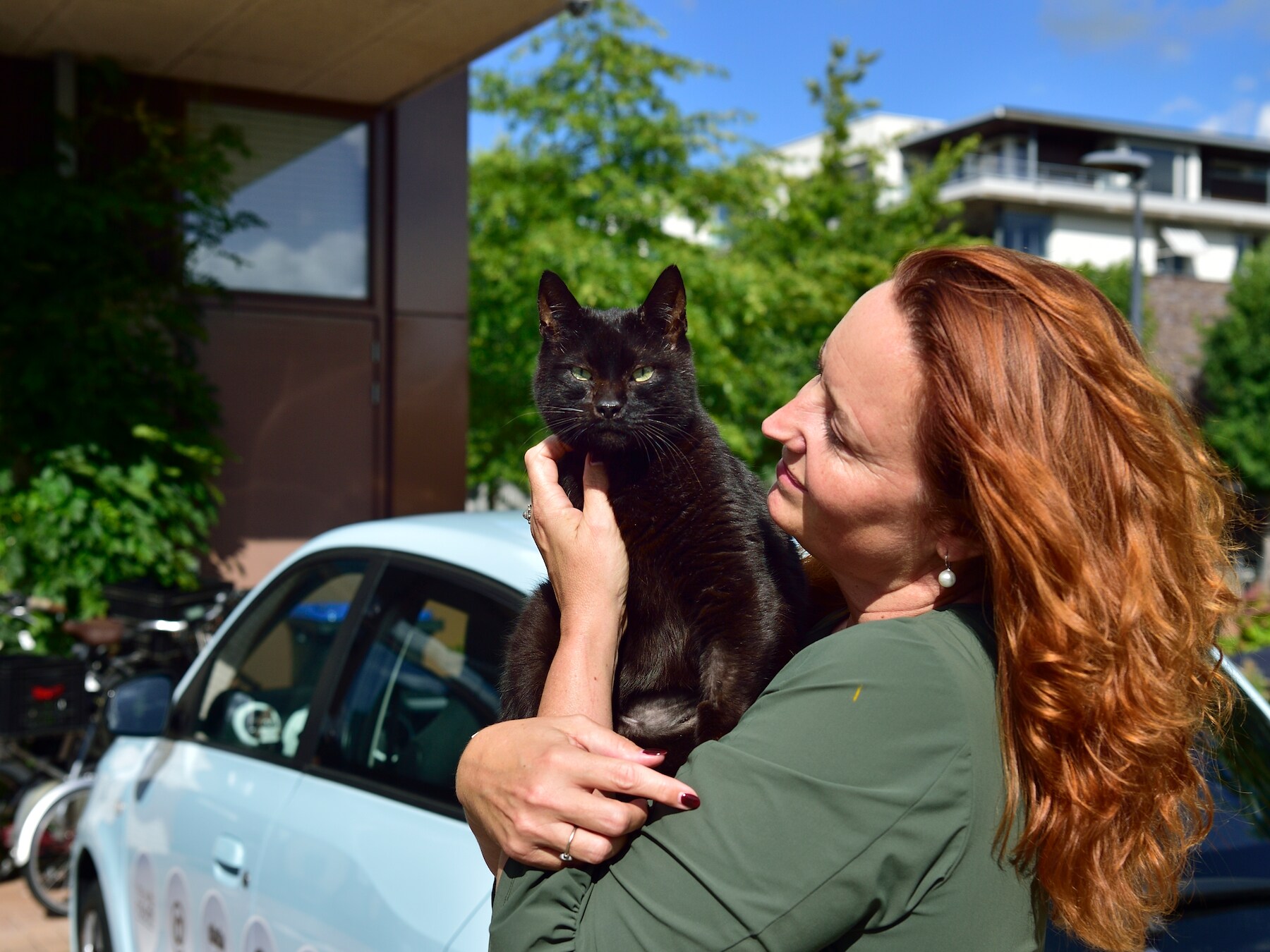 Overleden kater Harry overleefde schotwond, dader bleef onbekend: ‘Heeft me een tijdje paranoïde gemaakt’
