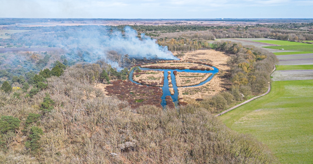Grote brandweerinzet blust bosbrand bij Ansen