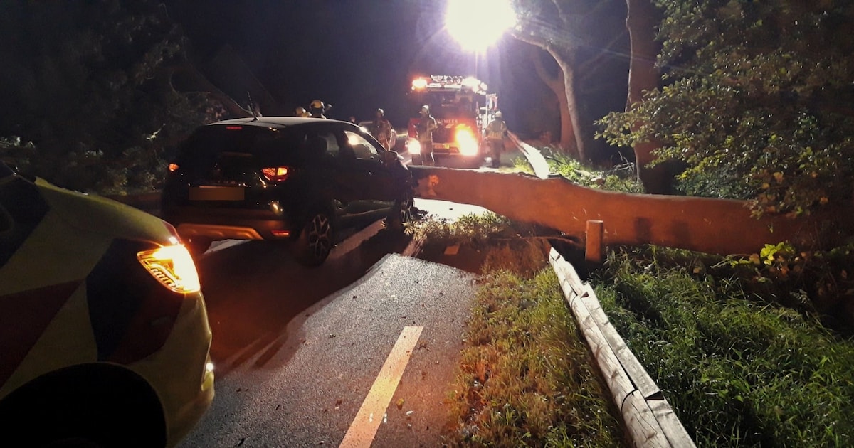 Automobilist botst op omgevallen boom na noodweer bij Schoonrewoerd