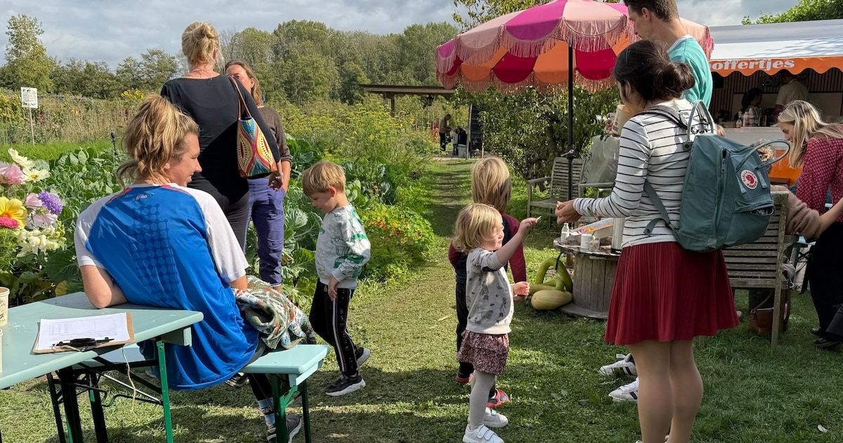 Proeftuin van Linschoten houdt jaarlijkse perenpluk met gratis activiteiten