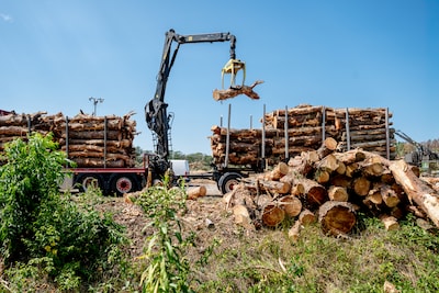Image related to the article