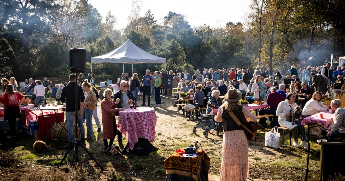 Herfst snuiven in het Lutterzand of naar de film en het theater met de kids
