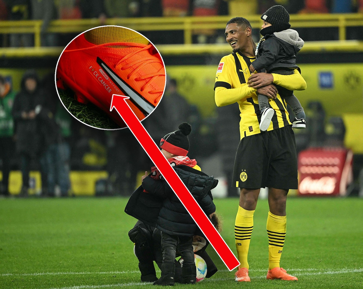 Tukli mushuklar bilan suzish kiyimidagi katta olchamli qizlarning fotosuratlari