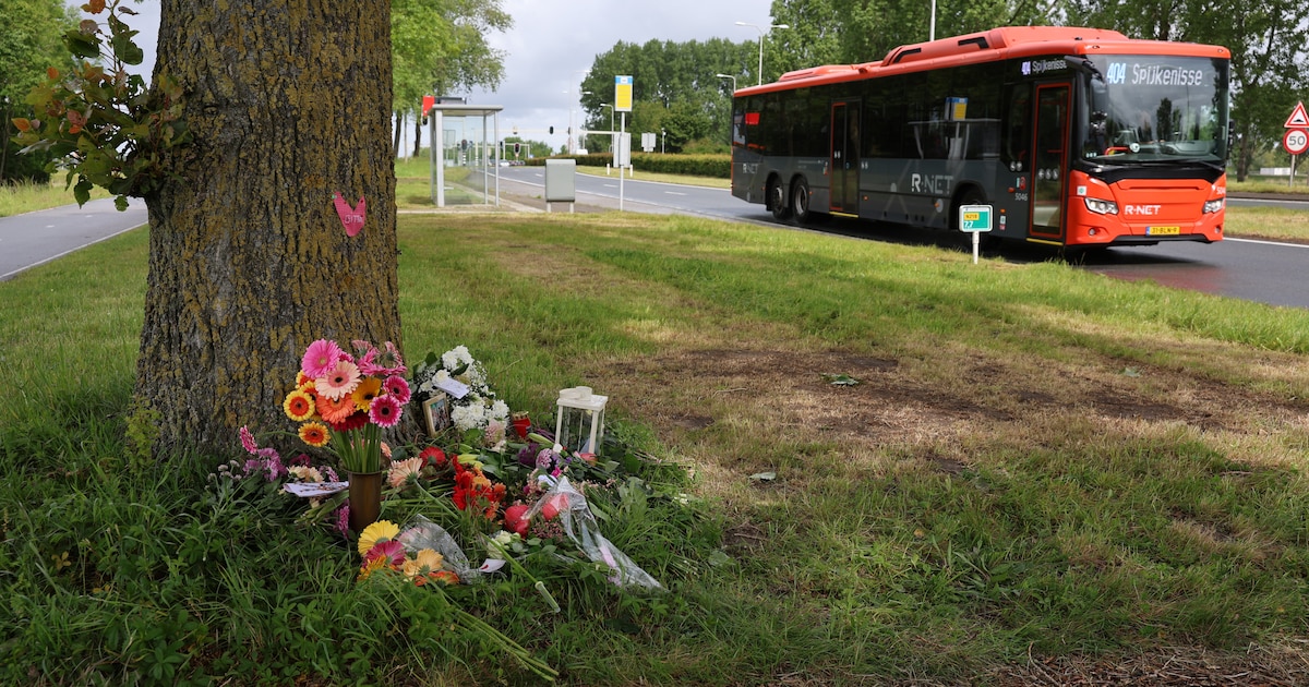Hardt vraagt om extra maatregelen na dodelijk ongeval bij Heenvliet