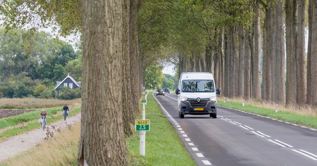 Wolphaartsdijk is boos op provincie over fietspad vol kuilen, bulten en naden: ‘Wij moeten haast een