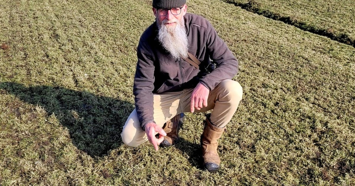 Douwe Dam vindt eerste kievitsei op Schiermonnikoog