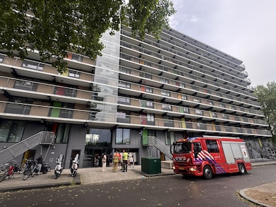 Omgevallen bomen en blikseminslag: noodweer zorgt op meerdere plekken voor schade