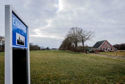 Image related to the article