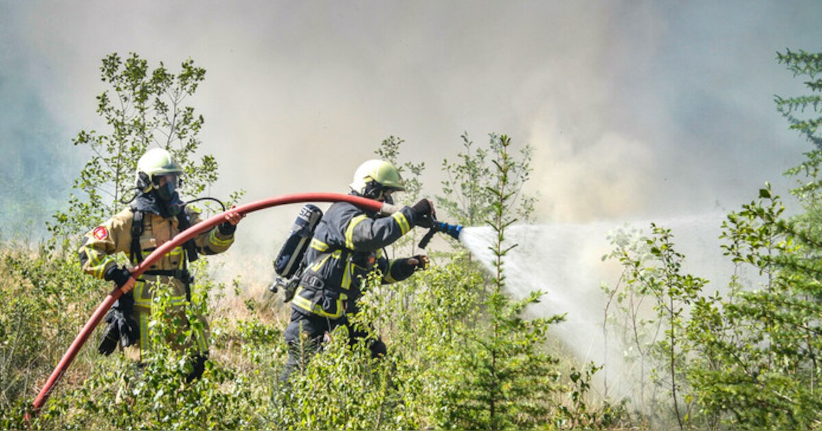 Natuurbrandgevaar: code rood in de regio | Regio | AD.nl