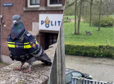 Dit waren de beste 1 aprilgrappen in de provincie Utrecht