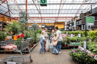 Image related to the article