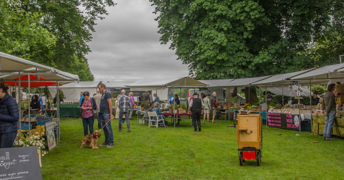 Boerenmarkt en open tuin in Vilsteren