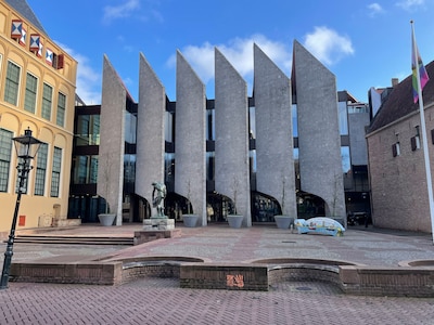 StemWijzer Zwolle: deze stelling verdeelt deelnemers het meest