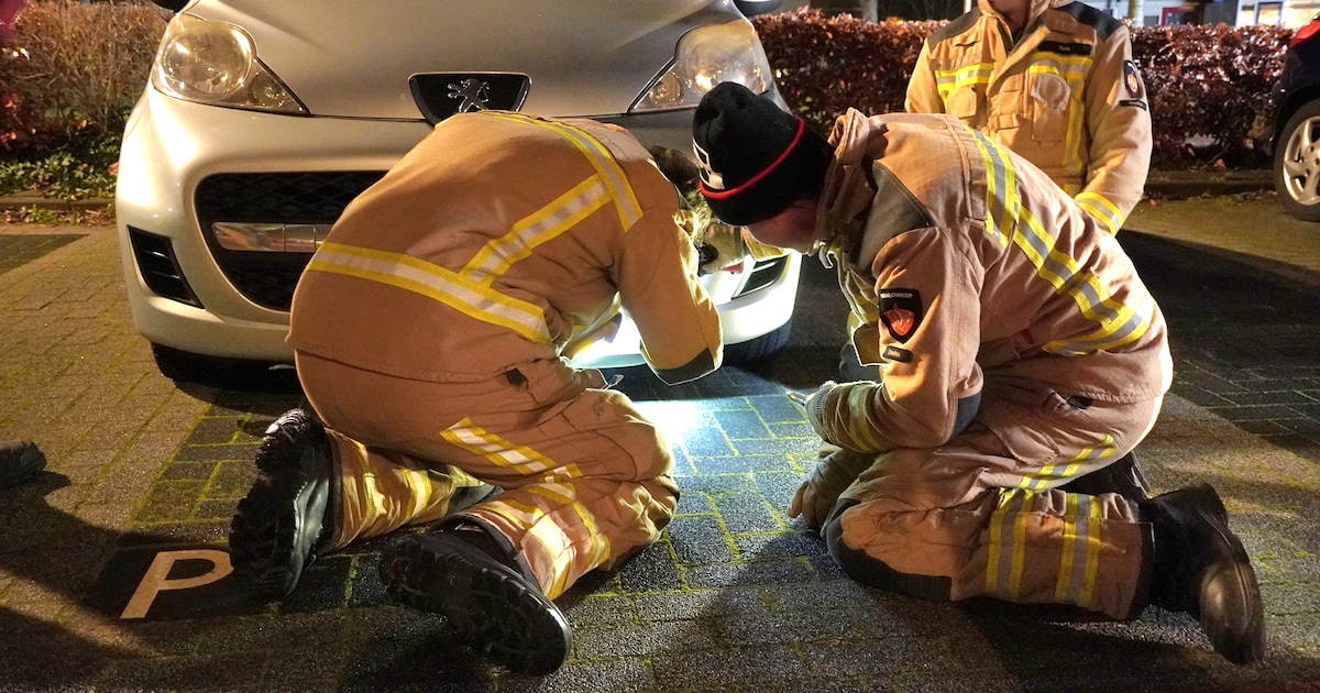 Auto stopt maar niet met toeteren (en dan grijpen brandweermannen in)
