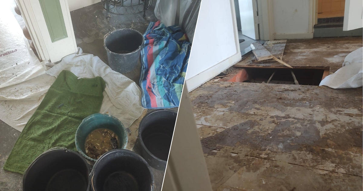 Lekkages, schade en overlast: Carla (66) zit na ‘helse renovatie’ al een week in de kou