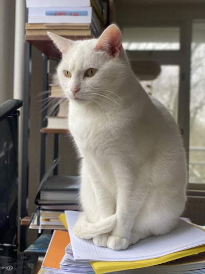 Image related to the article