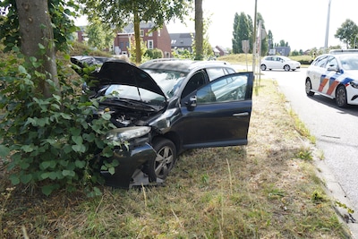 Auto botst tegen boom op Stadshagenallee in Zwolle