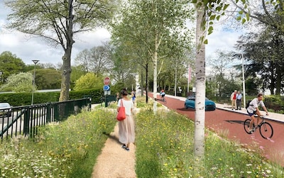 Utrechtse wijk Welgelegen Den Hommel krijgt nieuwe inrichting: meer groen en smalle rijbanen