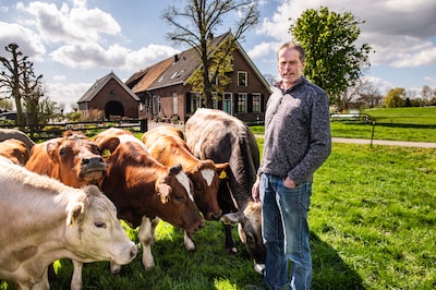 Deze boeren verwelkomen toeristen in hun vakantiehuisjes tussen de koeien: ‘Willen het beeld verande