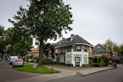 Image related to the article