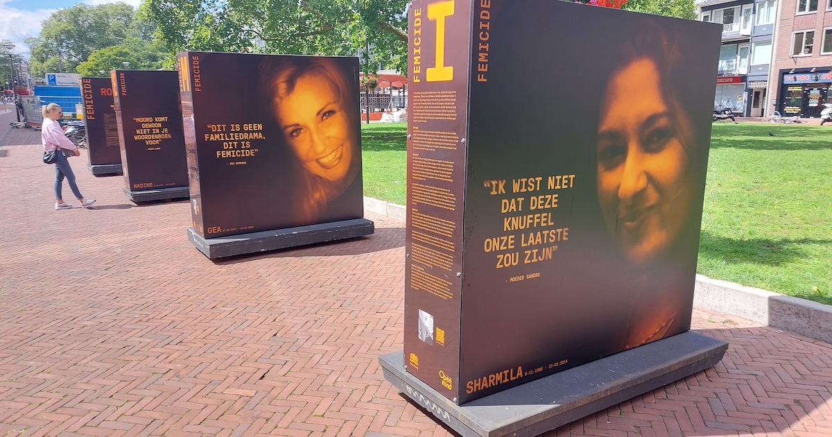 Expositie over femicide in Zuidplas met dertien aangrijpende verhalen