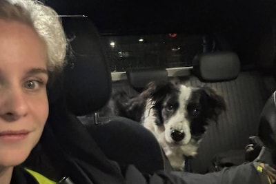 Hond waakt naast overleden baasje in woning in Kaatsheuvel