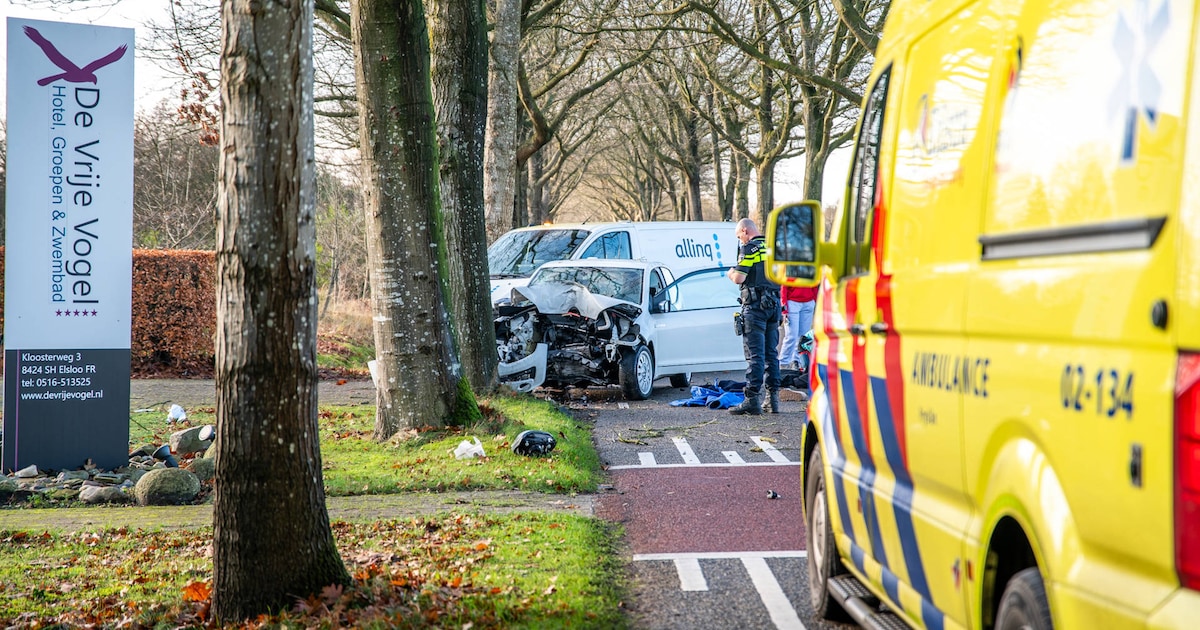 Automobilist gewond na harde botsing tegen boom op de Kloosterweg in Elsloo