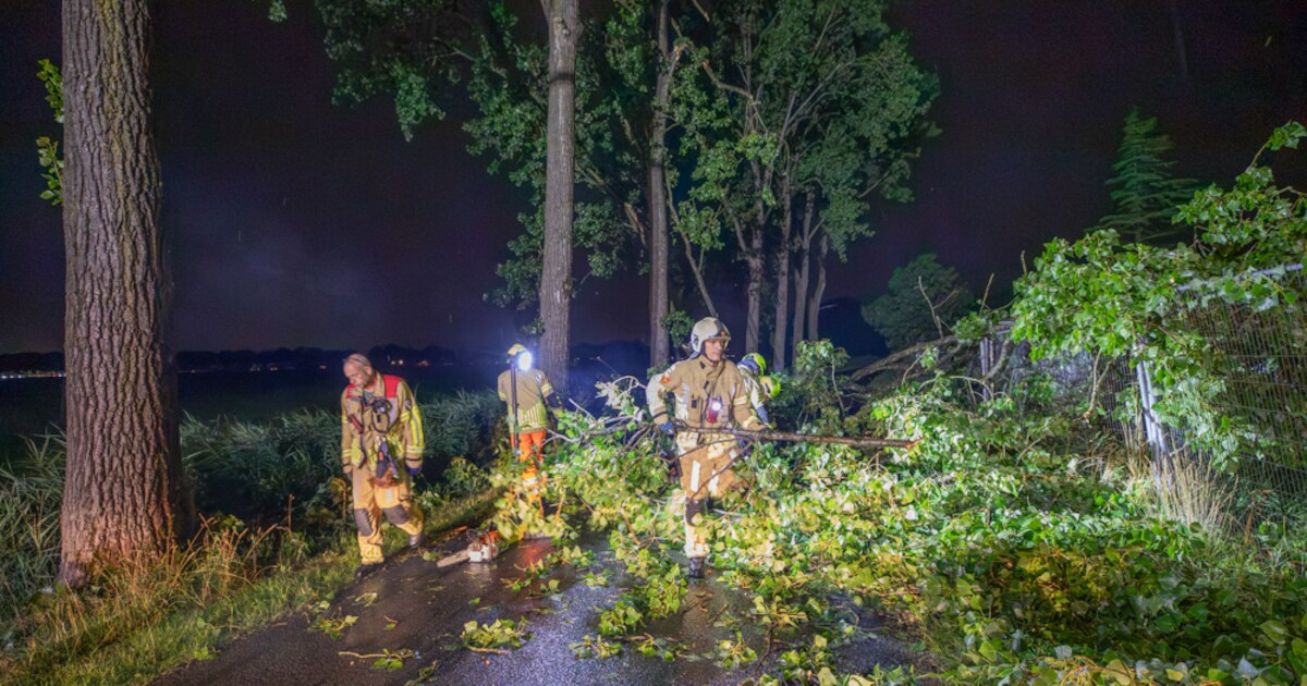 Boom verwoest door blikseminslag bij Eembrugge, weg tijdelijk versperd