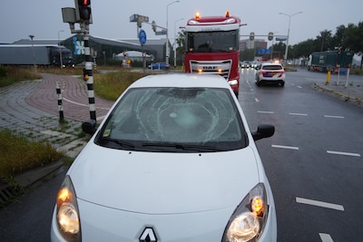 Fietser steekt weg over en belandt op voorruit van auto in Zwolle