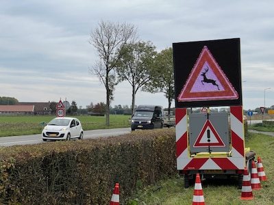 Provincie Utrecht waarschuwt voor meer kans op wildaanrijdingen na wintertijd