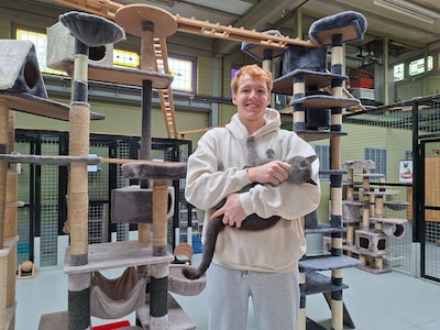 Image related to the article