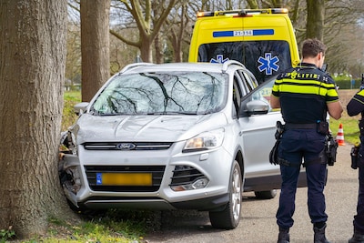 Auto botst tegen boom in Oss na uitwijkmanoeuvre, ambulance brengt bestuurder naar huis