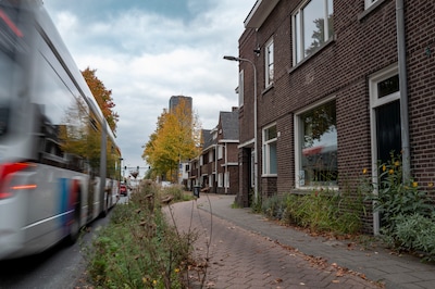 Image related to the article