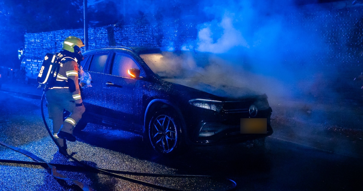 Felle brand zorgt voor schade aan auto in Dieren