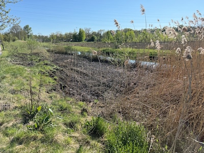 Stuk riet gaat in vlammen op langs de Joan Derk van der Cappellenstraat in Deventer
