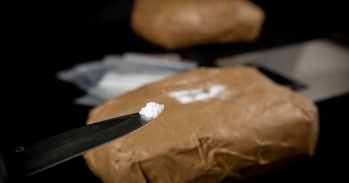 Drugs, verpakt in handschoen, gevonden bij boom in Hazerswoude: ‘Gevaarlijk voor spelende kinderen’